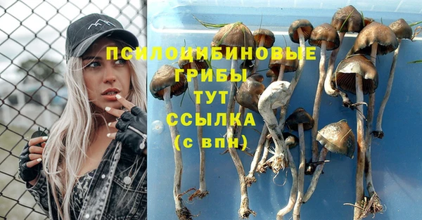 таблы Алексеевка