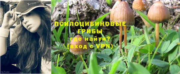 трава Алексин