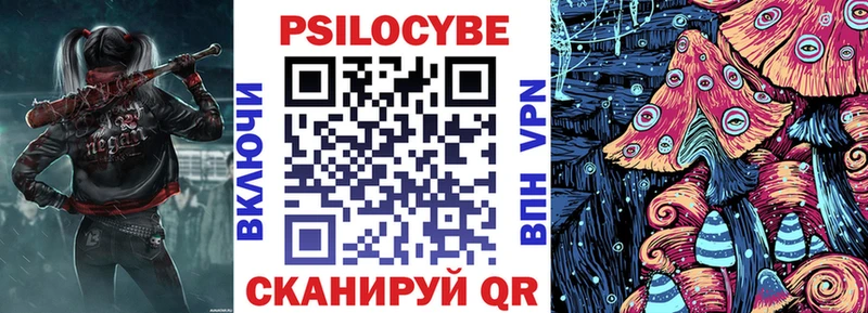 сколько стоит  Красноуфимск  Галлюциногенные грибы Psilocybe 